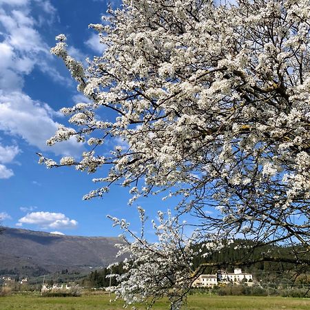 Accanto A Firenze Prato  Ngoại thất bức ảnh