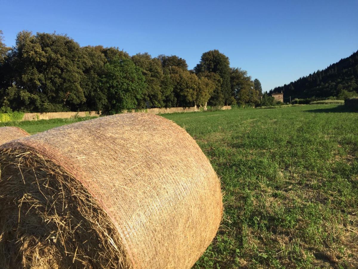 Accanto A Firenze Prato  Ngoại thất bức ảnh