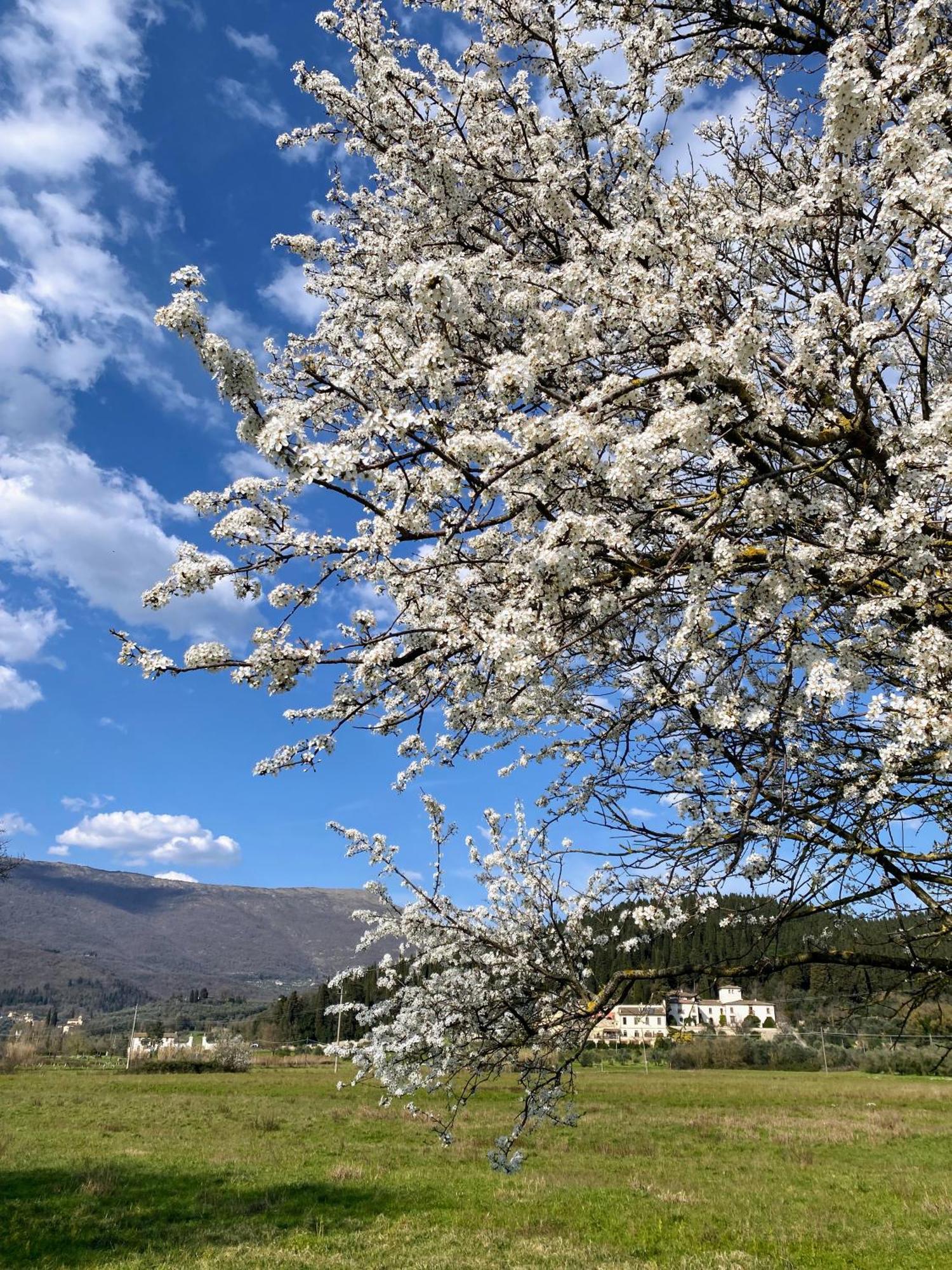 Accanto A Firenze Prato  Ngoại thất bức ảnh